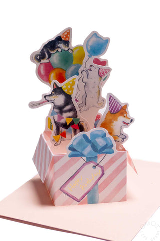 Shiba Inu Birthday Box Greeting Card