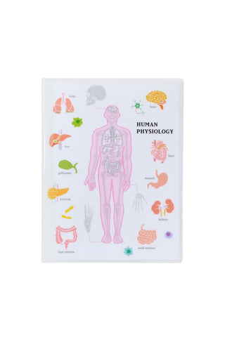 Science A4 6 Pocket File Folder Human Physiology