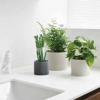 KINTO PLANT POT 191_ 5in