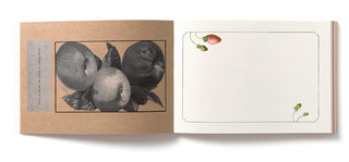 100 Writing & Crafting Papers: Papers of Fruit