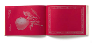 100 Writing & Crafting Papers: Papers of Fruit