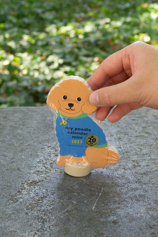 Toy poodle mini die-cut calendar figure held by hand, blue shirt, 2027 badge