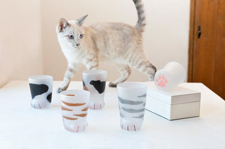 ADERIA coconeco Glass Gray Tabby