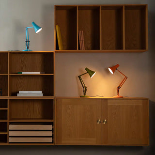 Wooden shelves with a variety of lamps and books in a room setting.