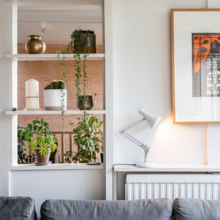 Living room with a desk lamp, shelves, plants.