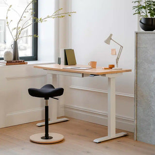 Modern office setup with a adjustable desk, chair, and decor elements.