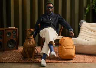 Bellroy Classic Daypack Black