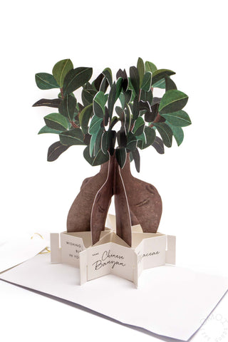 Blooming Chinese Banyan Pop-Up Card