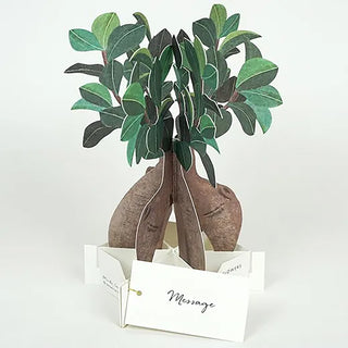 Blooming Chinese Banyan Pop-Up Card