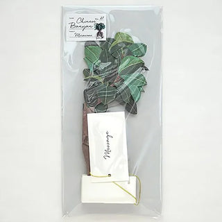 Blooming Chinese Banyan Pop-Up Card