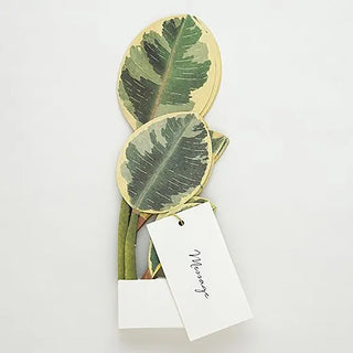 Blooming Ficus Altissima Pop-Up Card