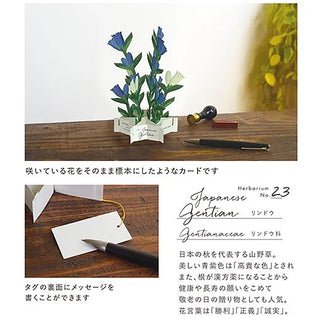 Blooming Japanese Gentian Pop-Up Card