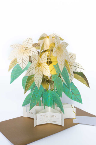 3D pop-up card with poinsettia plant design on a white background