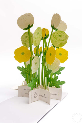Blooming Ranunculus Pop-Up Card