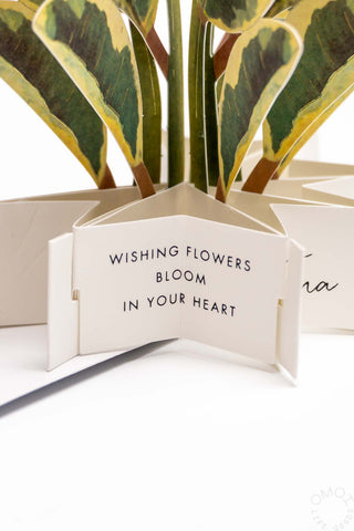 Blooming Ficus Altissima Pop-Up Card