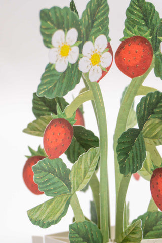 Blooming Strawberry Pop-Up Mini Card
