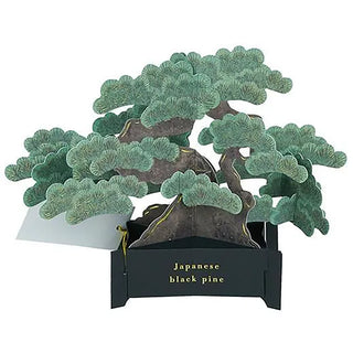 Bonsai Tree Pop-Up Card