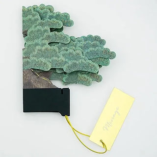 Bonsai Tree Pop-Up Card