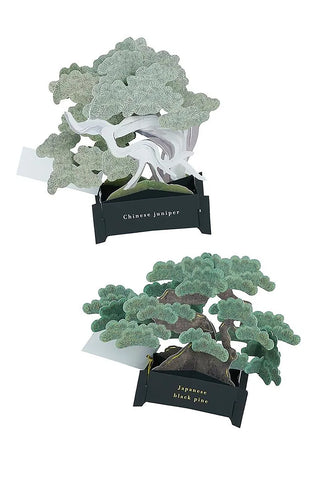Bonsai Tree Pop-Up Card