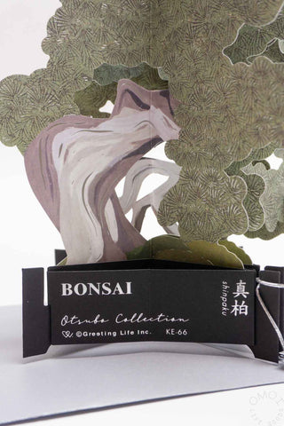Bonsai Tree Pop-Up Card