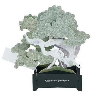 Bonsai Tree Pop-Up Card
