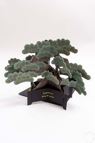 Bonsai Tree Pop-Up Card
