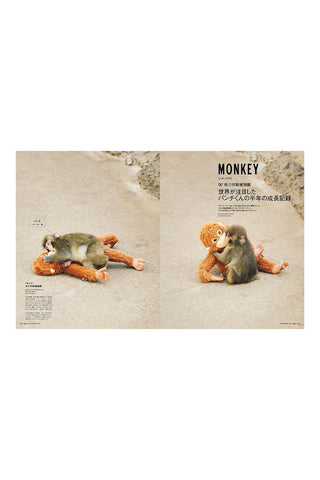 Open magazine spread featuring a monkey and another small animal side by side