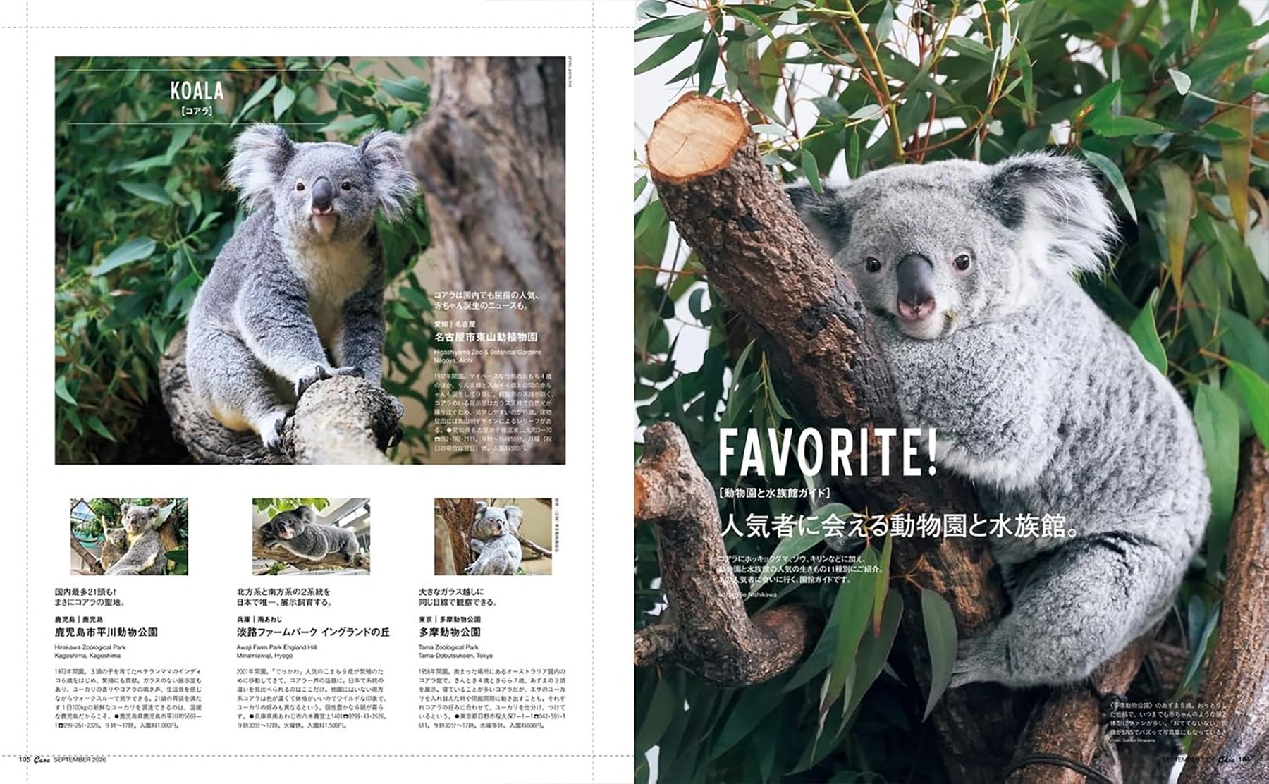 Casa BRUTUS September 2026 vol. 317 – Omoi Life Goods