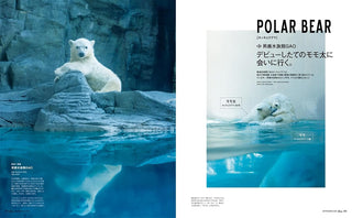 Open magazine spread with polar bear photos, including bear in icy water