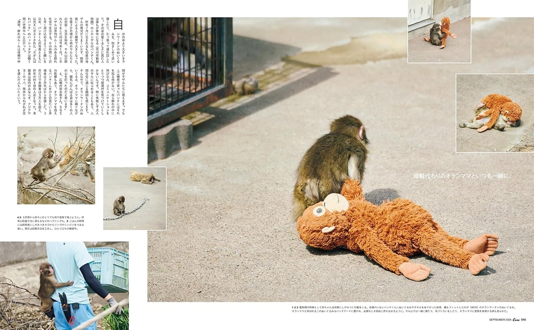 Casa BRUTUS September 2026 vol. 317 – Omoi Life Goods