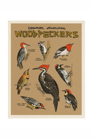 Common American Woodpeckers Riso Print by Eric Hinkley