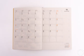 DELFONICS 2024-2025 Snake B6 Weekly + Memo Planner Cream