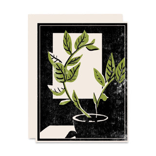 Plant by the Window Letterpress Card