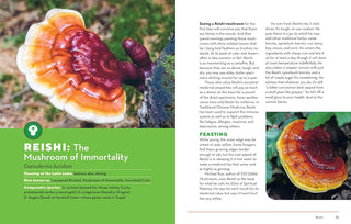 Reishi mushroom with text about its properties and uses