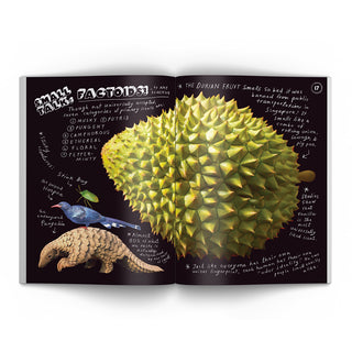 Illustoria 2026 Issue #29: Smelly