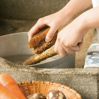 Person scrubbing vegetable with a natural brush over a stone surface.