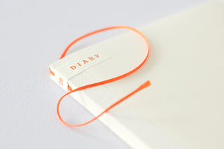Diary with an orange string on a light gray background