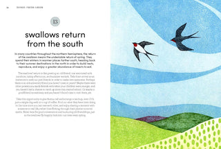 Illustration of swallows flying over a landscape with text