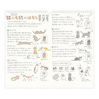 Midori 2027 Sayo Koizumi Cats Wall Calendar