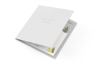 Midori Katanuki Sticky Notes Forest