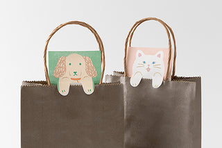 Midori Stretchy Memo Pad Raccoon