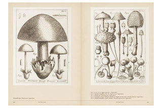 Illustrated book open to pages showing detailed drawings of mushrooms