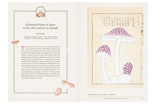 Open book with illustrations of plants and mushrooms on a beige background