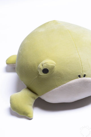 Close up of Frog plush on a white background