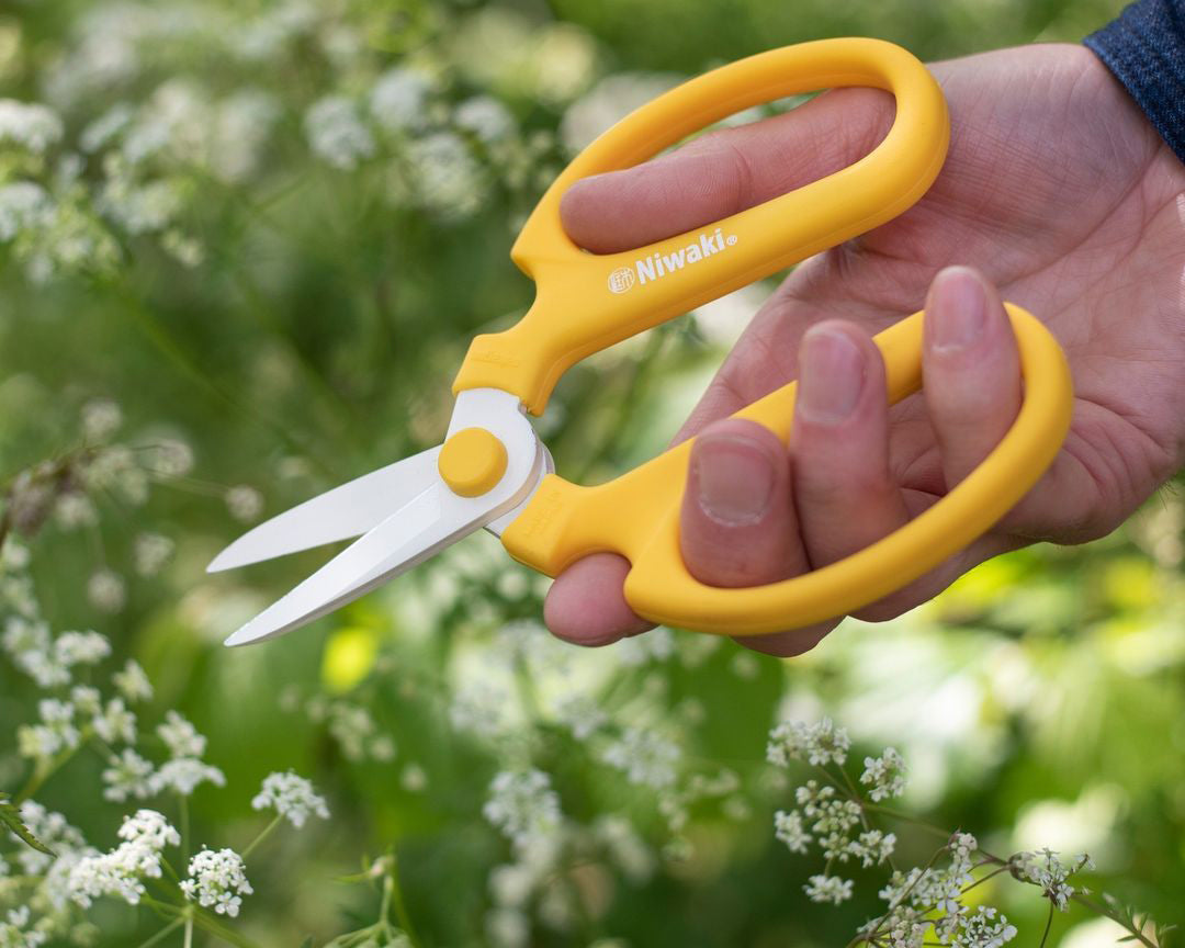 Niwaki Mainichi Kitchen Scissors