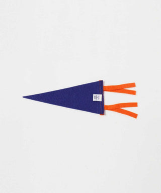 Blue triangle with orange stripes on a white background
