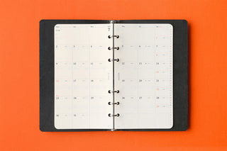 PLOTTER 2026 Monthly Schedule Diary Refill Bible Size