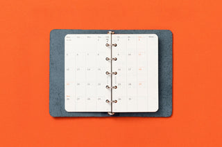 PLOTTER 2026 Monthly Schedule Diary Refill Mini-5 Size