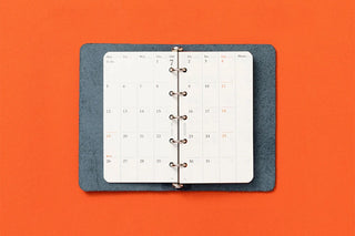 PLOTTER 2027 Monthly Schedule Diary Refill Mini-5 Size
