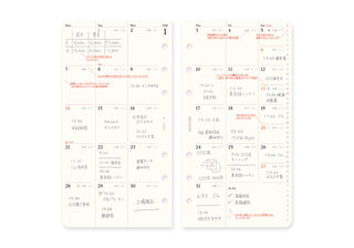 PLOTTER 2025 Monthly Schedule Diary Refill Bible Size